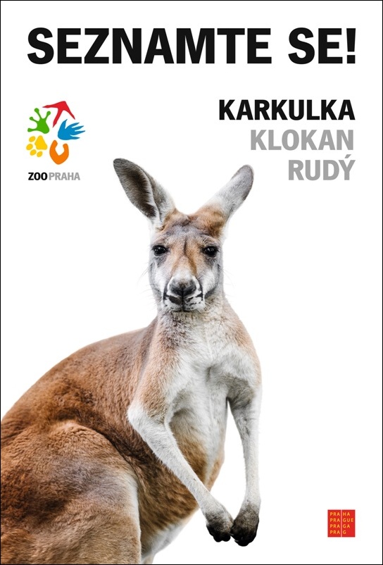 Karkulka - klokan rudy_re(1)