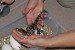 09 Právě vyklubaný krokodýl siamský z vajíčka